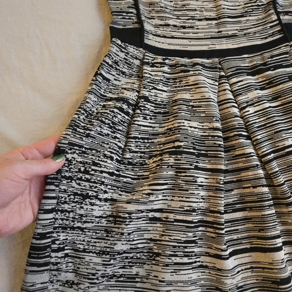 WGB Walter Baker Black & Grey Space Dye Stretch Knit Fit & Flare Dress - Picture 6 of 12